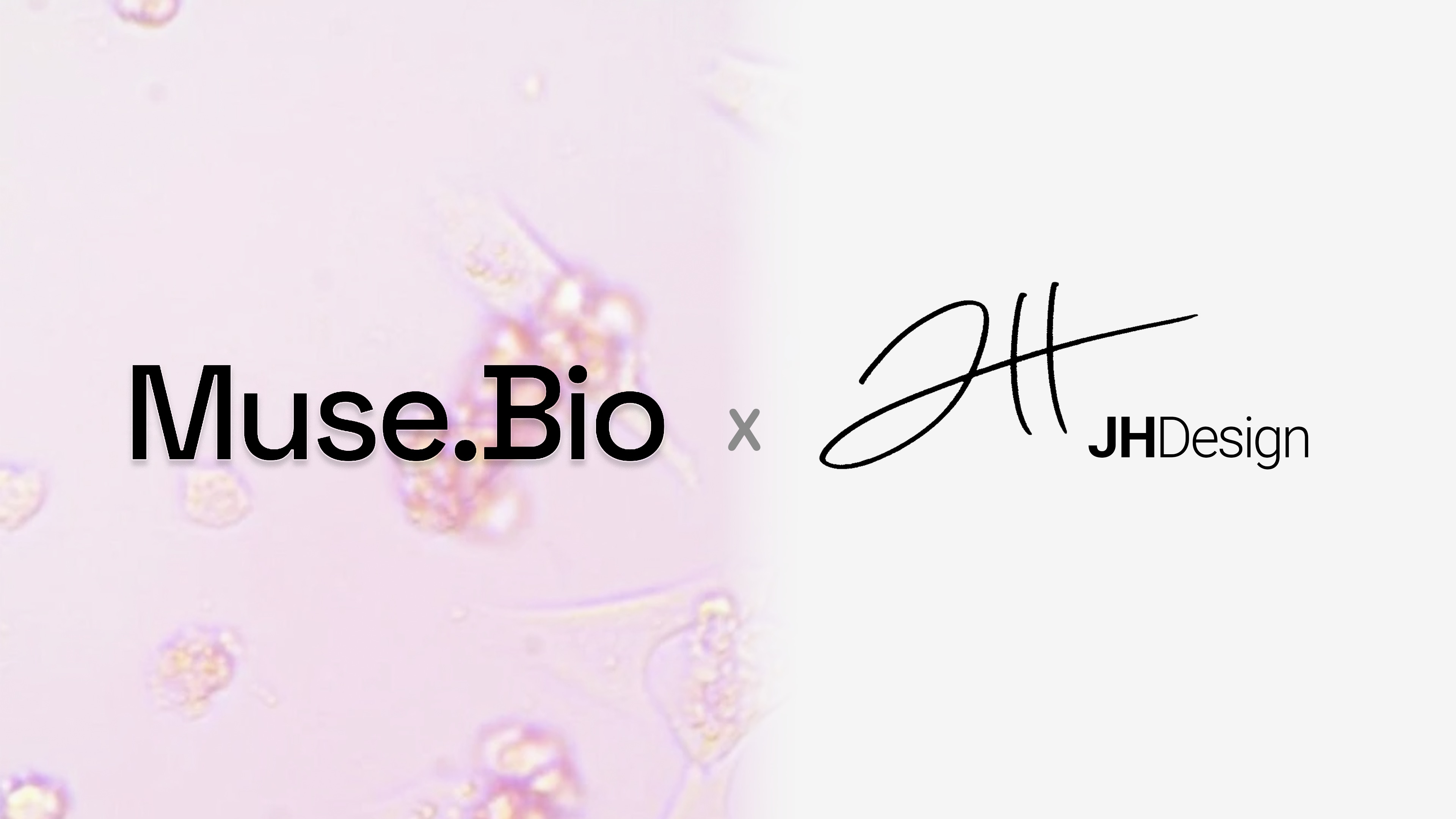 Muse x JHDesign collaboration